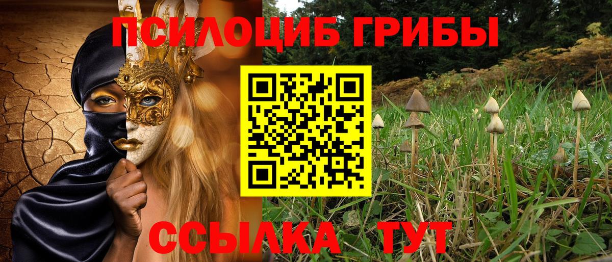 Кизилюрт  Псилоцибиновые грибы прущие грибы  Вход с VPN 